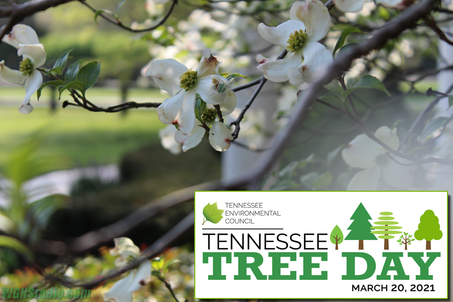 Thousands of Tennessee Residents Aim to Plant Native Trees on March 20th