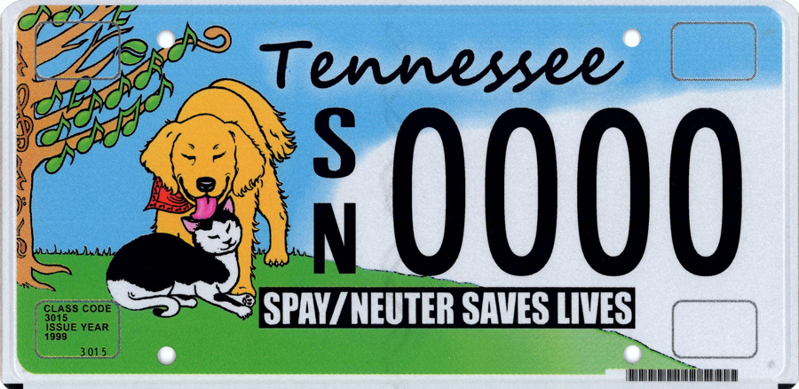 Animal Friendly Grants Help Shelters and Pet Owners - WGNS Radio