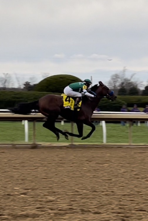 Flightline Provides Rick James Answer In Breeders Cup Classic WGNS Radio