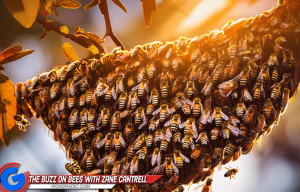 The Buzz on Bees with Zane Cantrell