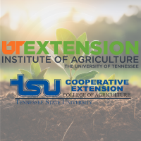 Trunk or Treat, Winter Markets, and the Shrinking Farm — A Talk with UT Extension